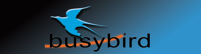 busybird design
