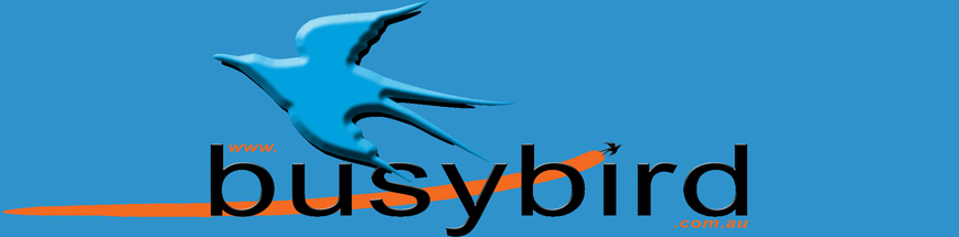 busybird design