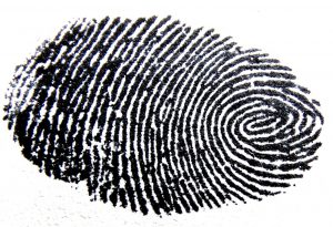 fingerprint-456483_1280
