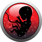 embryo-159691_150