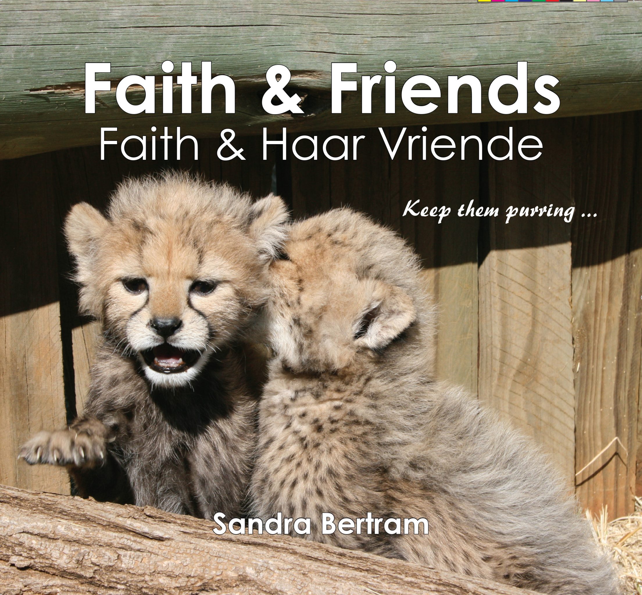 Faith &#038; Friends