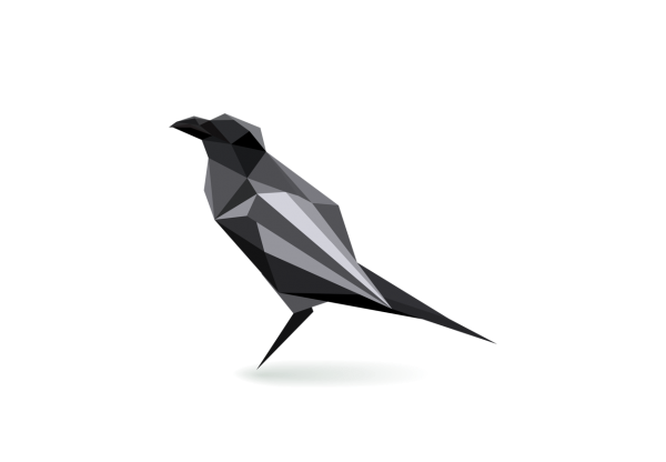 The Raven Package