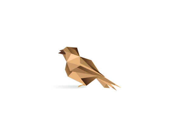The Sparrow Package