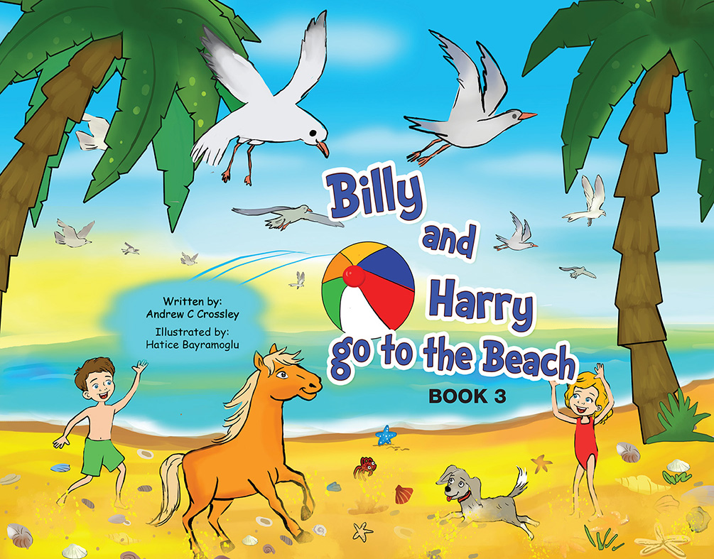 Billy and Harry go to the beach