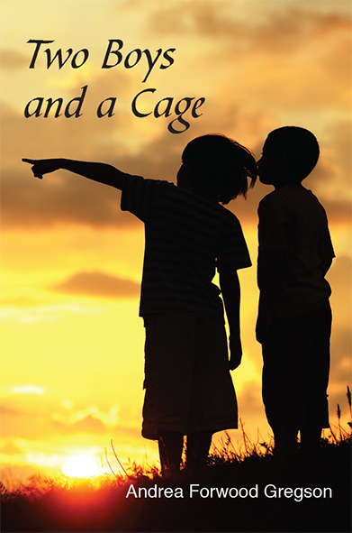 Two boys and a cage