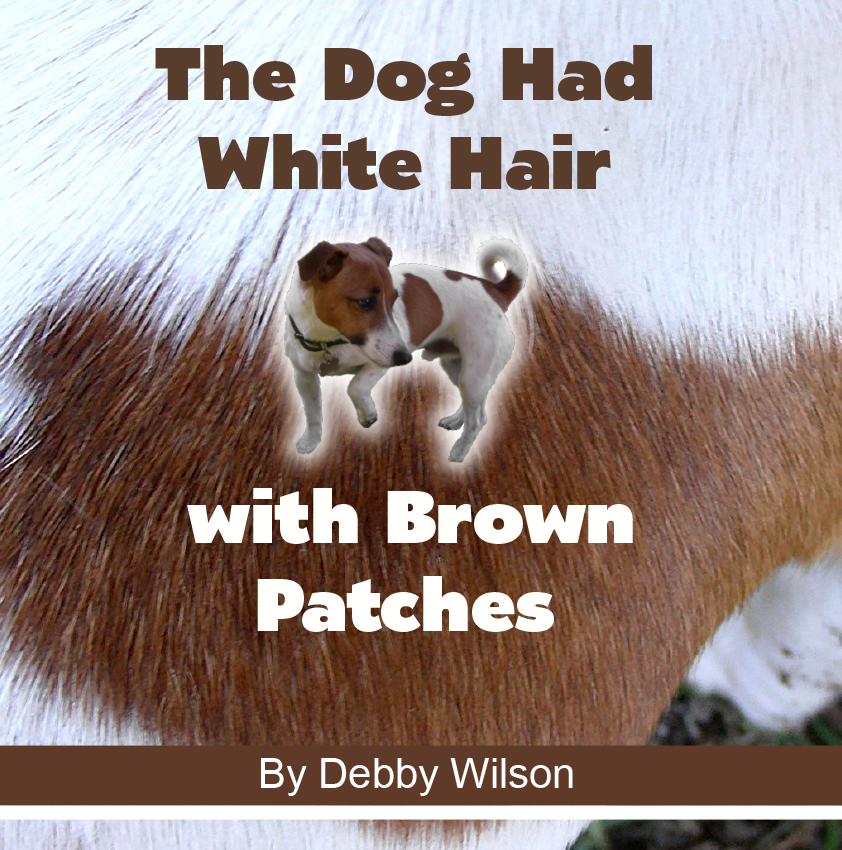 The Dog had white hair and brown patches