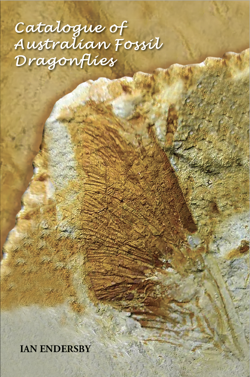 Catalogue of Australian Fossil Dragonflies