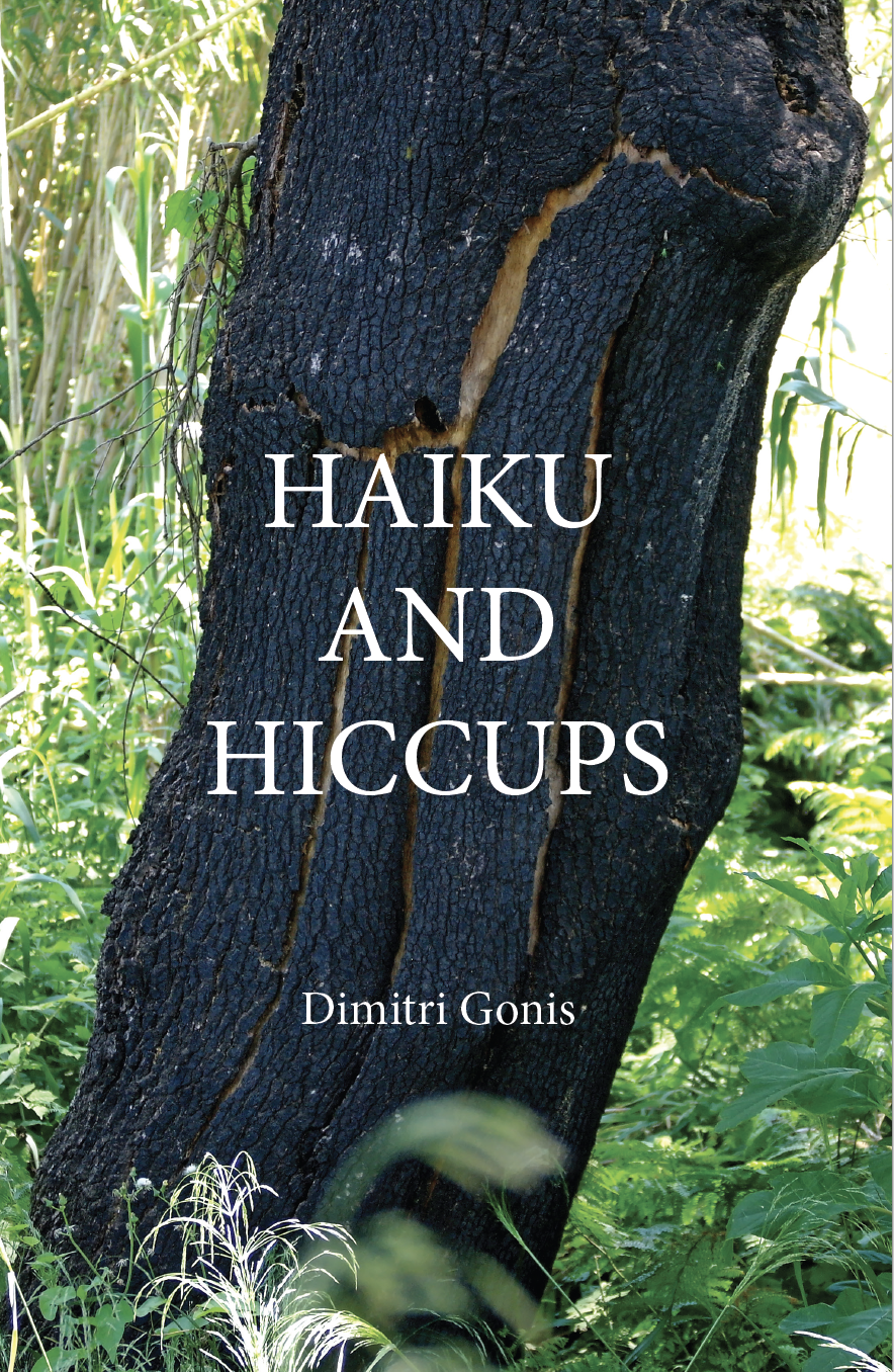 Haiku and Hiccups