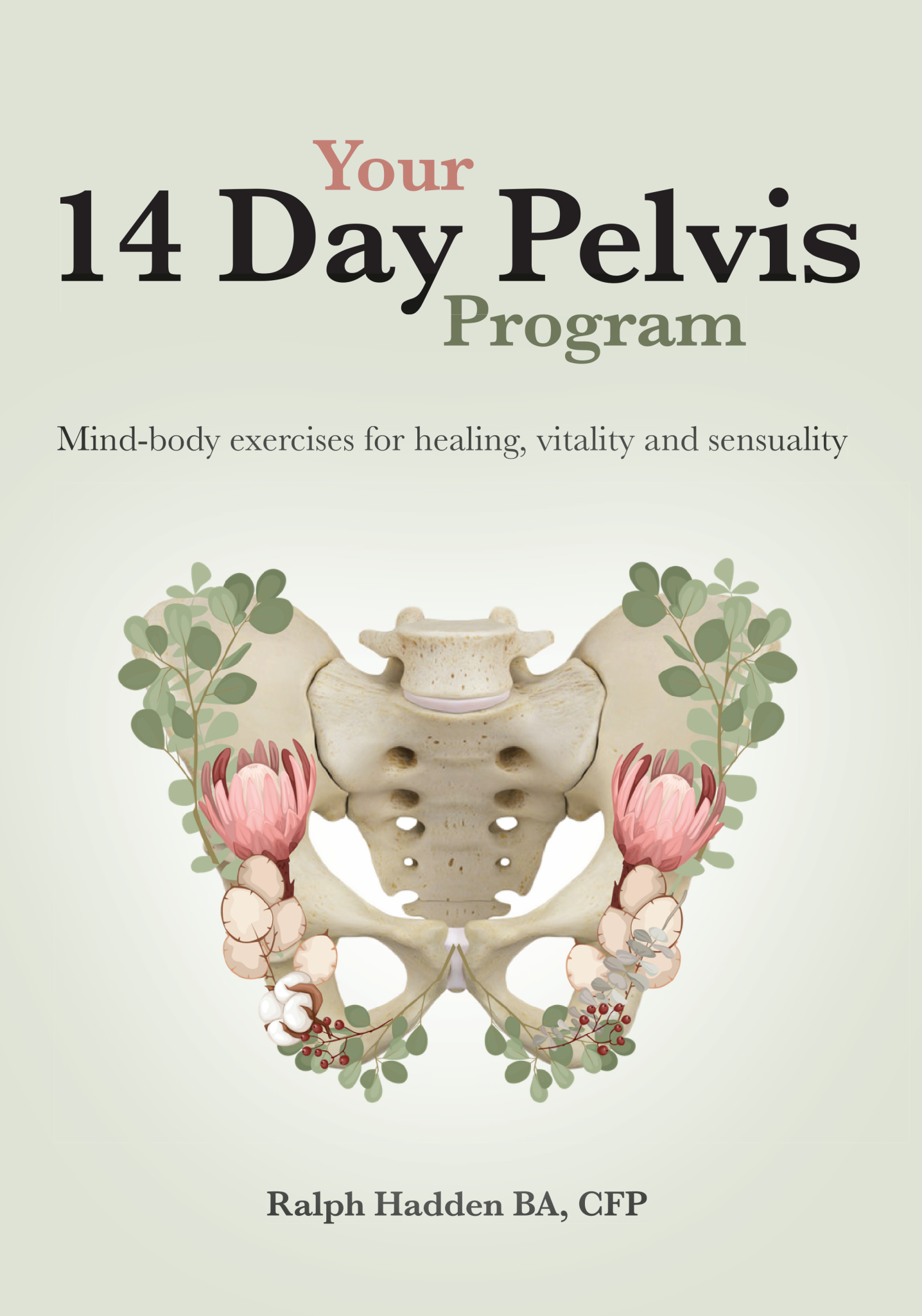 Your 14 Day Pelvis Program